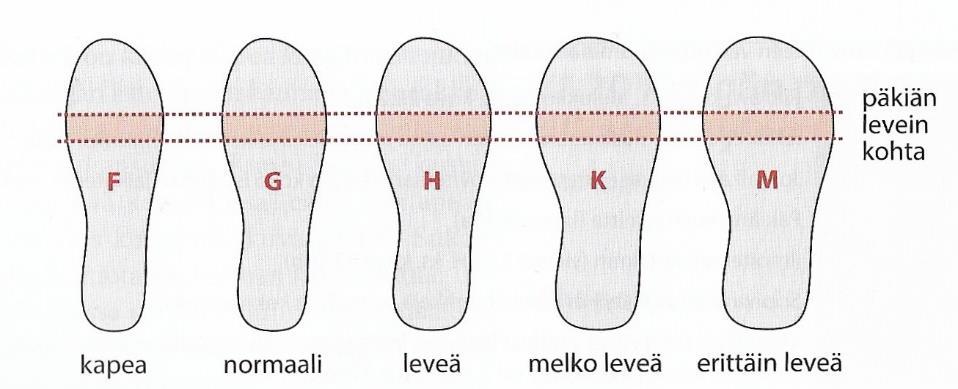 1 Hyvän kengän ominaisuudet Hyvät kengät edistävät pystyasennon hallintaa ja jalkaterien toimintaa erilaisilla alustoilla liikuttaessa.
