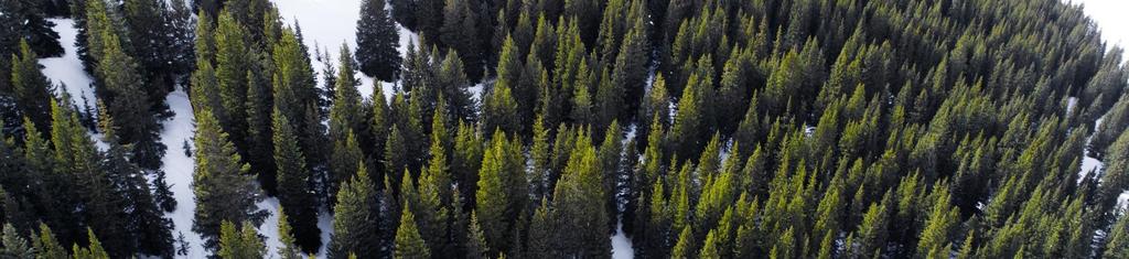 MIKSI YKSITYISMETSÄNOMISTAJIA ON SYYTÄ TUTKIA?