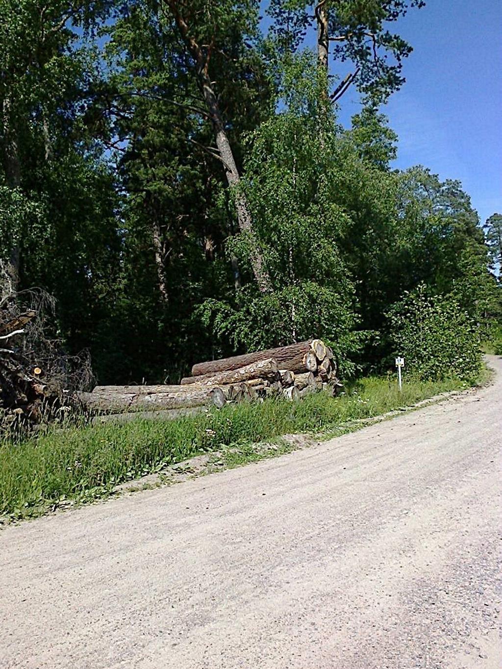 Ensin olivat kiinnostuksen kohteena perhoset, sitten vuodesta 1998 kukkakärpäset ja myöhemmin 2000-luvulla alkoivat kiinnostaa myös myrkkypistiäiset (petopistiäiset, erakkoampiaiset,