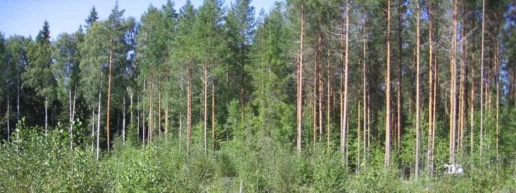 Hakkuutähteen korjuun epäsuorat ilmastovaikutukset Maahan jäävät hakkuutähteet muuttavat maan olosuhteita - turvemailla lisäävät turpeen hajotusta?