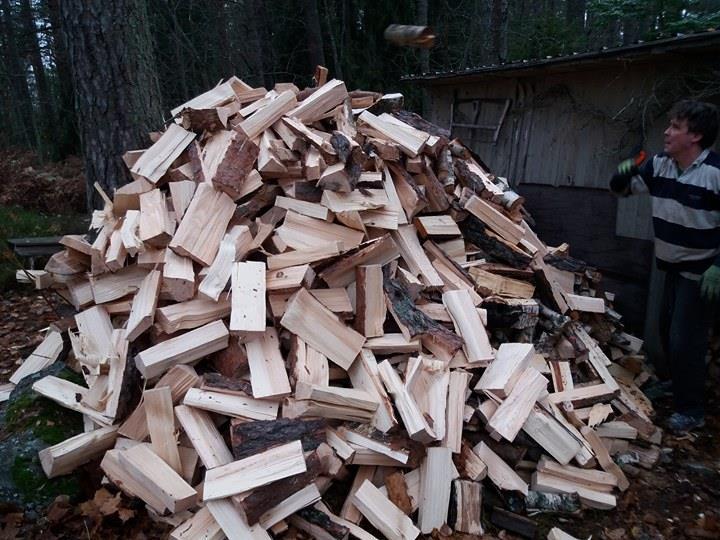 puuta riittää eikä siitä tarvitse maksaa.