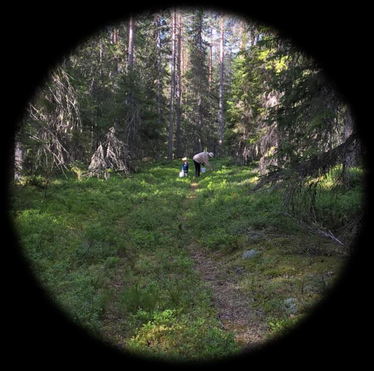 Kokemuksia Kyselyn perusteella Kainuun maakuntakaavalla on vaikutusta metsätaloudelle Mallinnusten perusteella Kainuun maakuntakaavan rajoittava vaikutus on vähäinen (vrt.