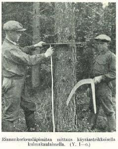 määrä ja kasvu Metsien terveydentila
