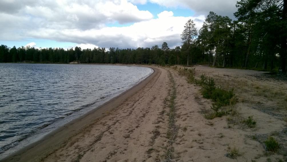 18/103 Lisäksi kohde purkaa pohjavettä suohon, ja on yhteydessä kaakossa ja luoteessa oleviin lampiin. Lähteikön sammallajistoon kuuluvat mm. hetesirppisammal, punasirppisammal ja kinnassammalet.