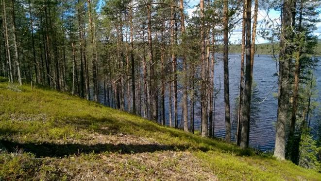 84/103 4.7 Tervakangas-Juutisenniemi (12614125) Tutkimusalueen kuvaus Tervakangas-Juutisenniemen III luokan pohjavesialue sijoittuu murroslaaksoon kerrostuneeseen, itä-länsisuuntaiseen harjujaksoon.