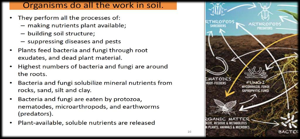 Bringing back the soil, reversing catastrophic soil issues at