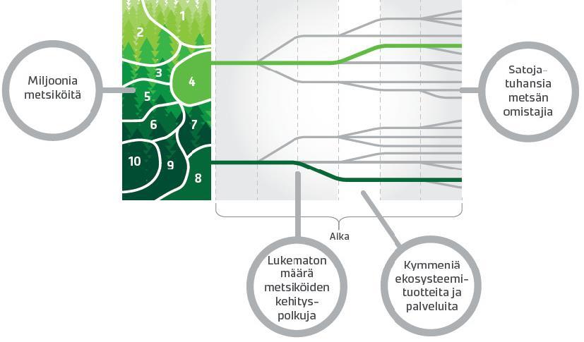 Luken hakkuumahdollisuuslaskelmat vaihtoehtoiset kehitysskenaariot metsille Lähde: Tuula Packalen, Metsäpäivät 2017 VMI-koealat otos Suomen metsistä > Kasvun