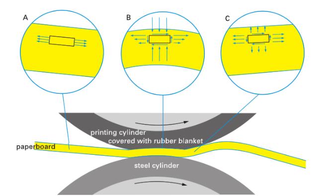 (c) causing interlaminar stresses to the paper or board. (Stenberg & Fellers, 2001; Coffin, 2011) Figure 11. Behavior of paper under printing nip (Coffin, 2011).