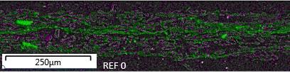 Figure 50.