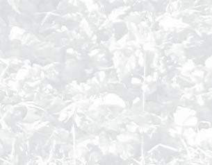 Iraida Popova Julkaistu komiksi Markus Luukas Johannes Matteus Uusi testamentti Valmisteilla: 1995 1996 1998 1999 2008 Psalmit Lastenraamattu Psalmi 34:2 5 komiksi 34:2 Jona oška Gospod