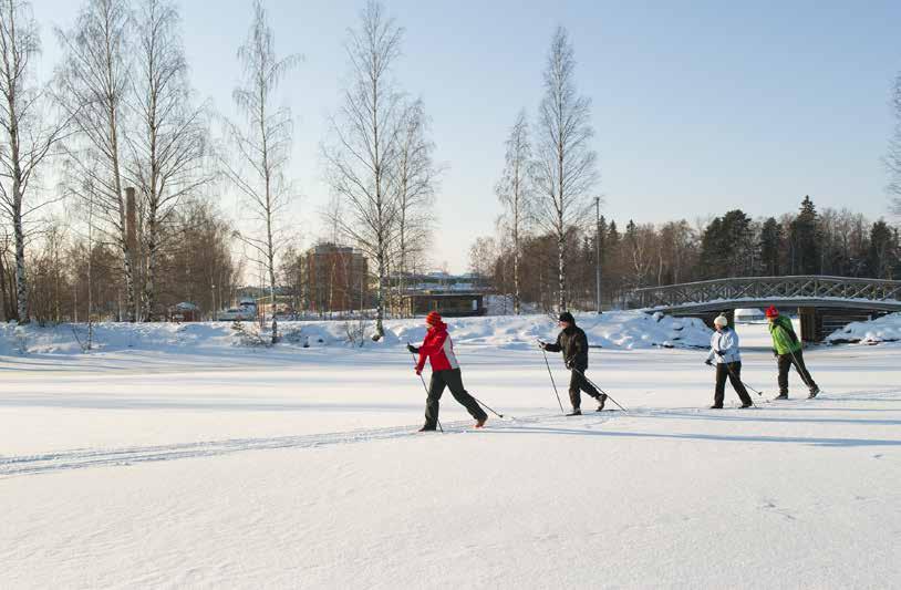 As. Oy Tampereen Härmälänrannan Nisse Alustava
