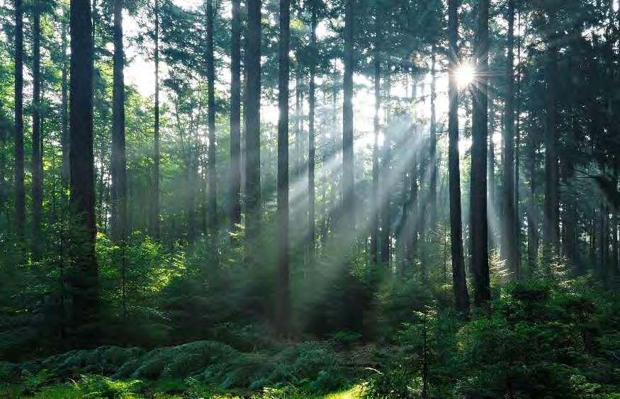 YmPÄRISTÖN ja KÄYTTÄjÄN ASIALLA Aerosoliteollisuus on luvanvarainen toimiala. Lakien ja asetusten tuntemus sekä niiden noudattaminen ovat toimintamme edellytys.