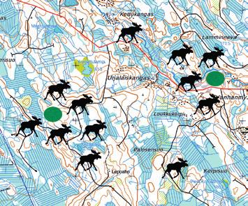 Metsänhoidon keinot metsätila- ja kuntatasolla Hirvien elinympäristövalintaan ja ravinnonkäyttöön vaikuttavat monet asiat kuten: vuodenaika, saatavilla olevan ravinnon laatu, metsänhoitotoimet,