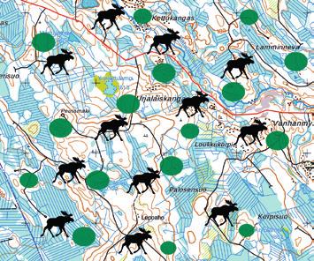 Ravintopuista hirvi suosii pihlajaa, haapaa, pajua, rauduskoivua ja katajaa, mutta hyvän saatavuuden vuoksi mäntyä syödään talvella määrällisesti eniten.