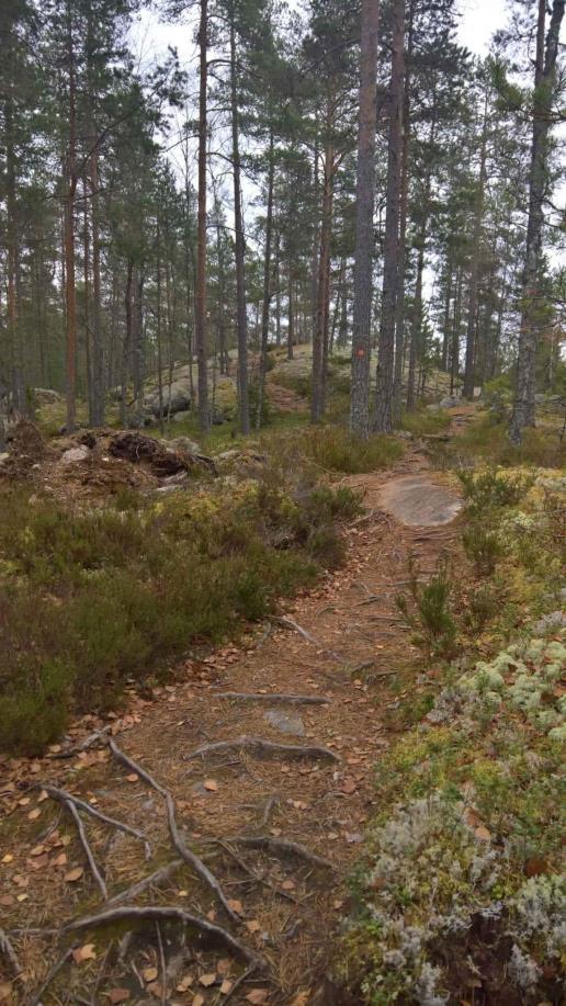 Odotettavissa seuraavan 20 min kuluessa Sote-markkina ja palveluiden tuottajat Tausta ja sidonnaisuudet