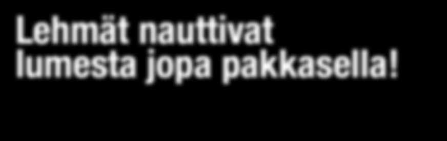 lumesta jopa