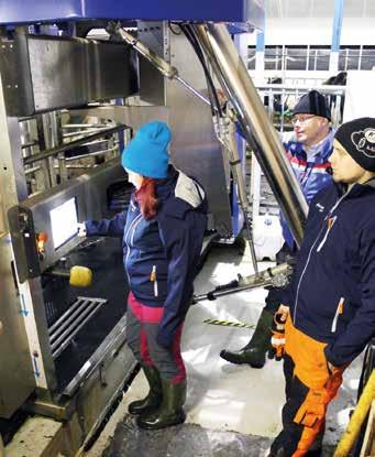 Moni muukin parsinavetassa maitoa tuottava on havahtunut, että on mahdollista pienemmilläkin investoinneilla parantaa omaa työympäristöä sekä lehmien hyvinvointia ja tuotosta.