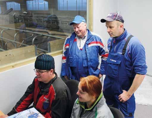 Lehmät ovat yllättävän rauhallisia, vaikka ne ovat ihan äsken siirtyneet parsinavetasta pihattoon. Haaste on ennemminkin robotti sinänsä. Sen portista sisälle meneminen pelottaa selvästi eniten.