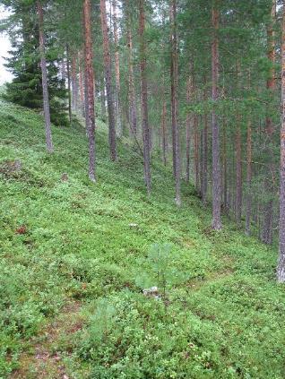 10/73 3.2 Juujärvi (12320119) Tutkimusalueen kuvaus Juujärven pohjavesialue sijoittuu laajaan, deltamaiseen muodostumaan, jonka eteläosassa on korkea jokitörmä (kuva 5).