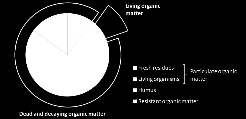Maaperän kuollut ja elävä orgaaninen aines Elävä orgaaninen aines Kasvintähteet Mikrobit, sienet yms.