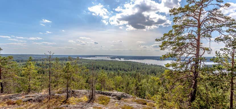 11 VuoriSport Uljaat Rautaveden rantamien maisemat ja upeat ulkoilumaastot suorastaan patistavat ylös, ulos ja liikkeelle.