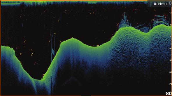 nuolipainikkeilla DownScan FishReveal Valitse FishReveal