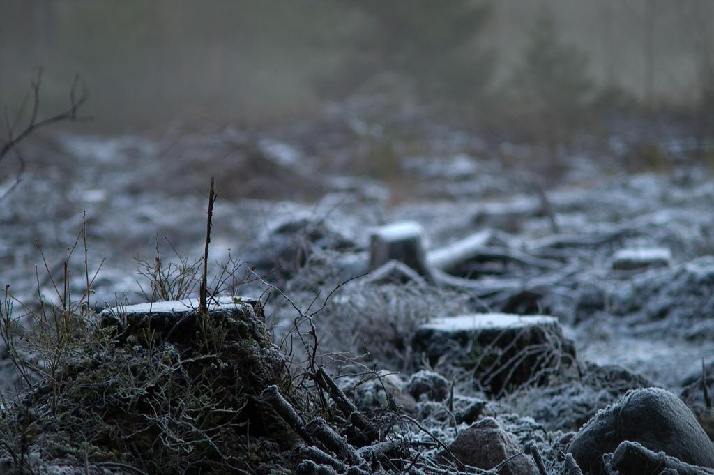 Keskipitkän aikavälin ilmastosuunnitelma Eduskunnan