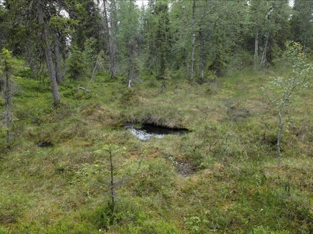 PORONTIMAN RANTA-ASEMAKAAVA 31 Kuva 31 Vasemmalla lähde alueen pohjoispäässä ja oikealla lehtomaista kasvillisuutta Jaako Säkkisenniemessä Vaikutukset talouteen Kaava-alueelle joudutaan