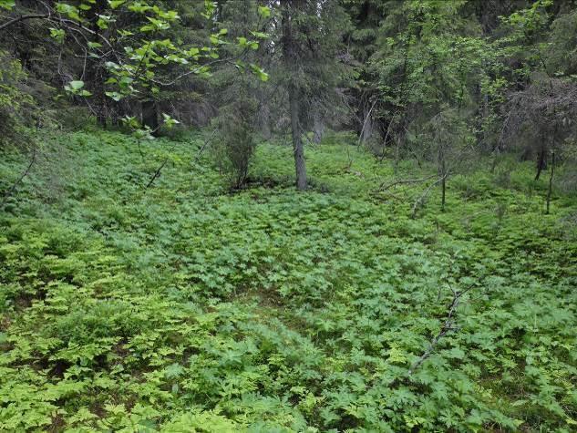 Rakentaminen ei kuitenkaan aiheuta maanomistajille, rakentajille tai yhteiskunnalle merkittävän suuria kustannuksia. Runkotiestö alueen lähelle on olemassa.
