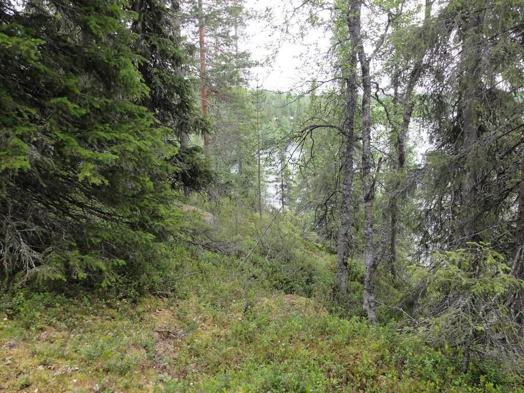 PORONTIMAN RANTA-ASEMAKAAVA 7 Kuva 4 Jyrkille alueille, mm.