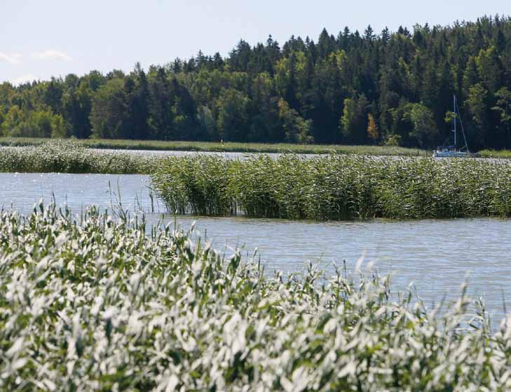 Kurssipaikat ja yhteystiedot Kuntoutuskeskus Ruissalo Ruissalon puistotie 640, 20100 Turku 02 445 4101 www.kuntoutuskeskusruissalo.