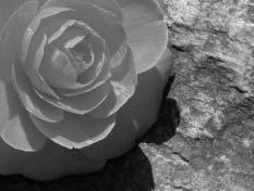 Color mode Sharpness Noise reductn Monitor ams. Manual exs. Mag. button Nat. (srgb) Normal On Auto Exs.