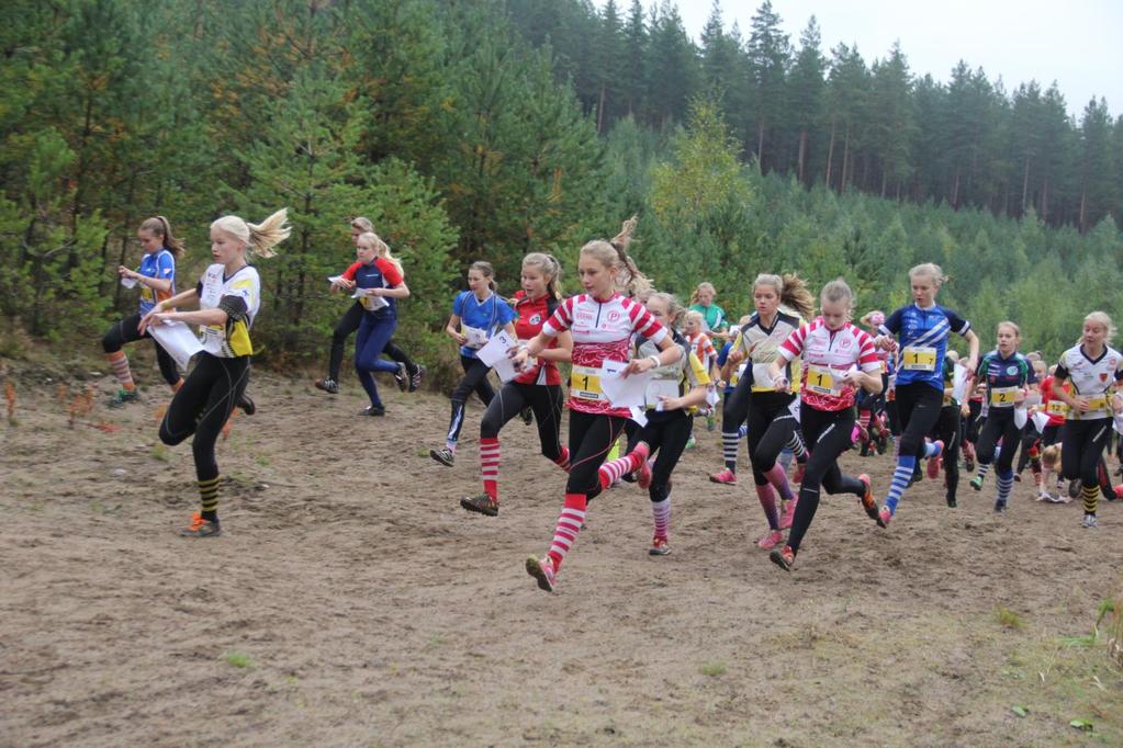 Kultainen kompassi cupin