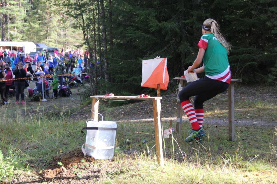 Kultainen kompassi