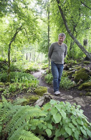 Jokainen laji on erilainen lisättävä, joten on hankittava paljon tietoa ja kokemusta ennen kuin lisääminen onnistuu ja tuloksena syntyy taimia.