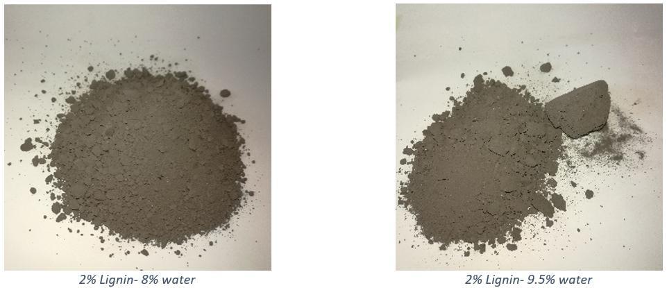 118 normal cases when surfaces with curing cement are exposed to atmosphere. Lignin might have contributed into make the reaction intensity more severe.