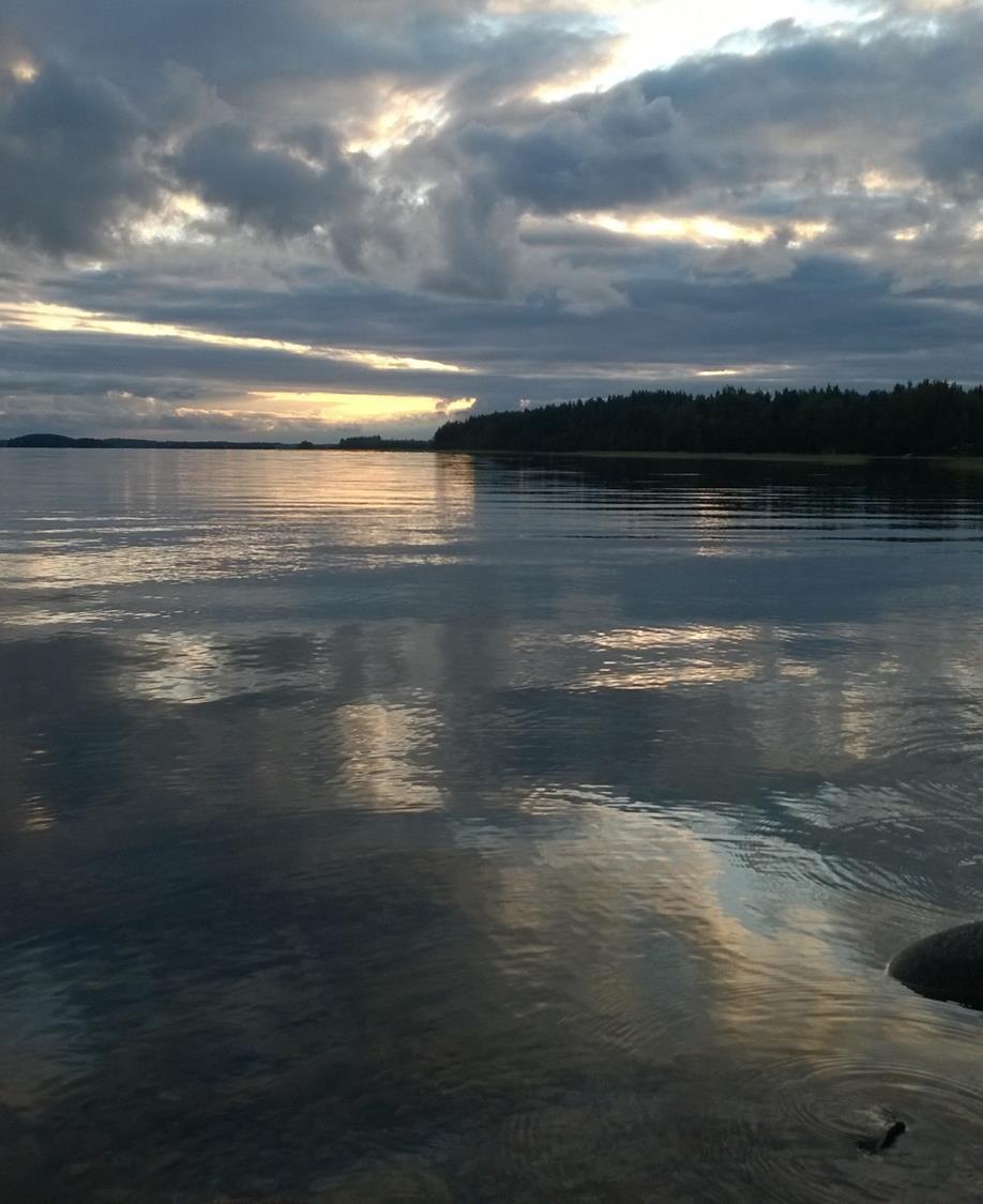 ALLINTAA PALAU PPALAUTUMISEN KAUTTA KOHTI PAREMPAA STRESSINHALLINTAA Tiina