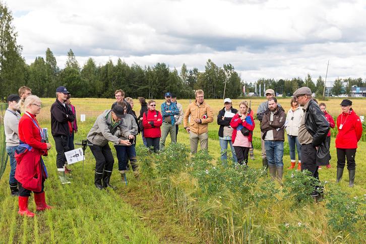 Työpajoja, webinaareja ja niiden materiaalit https://www.ilmase.