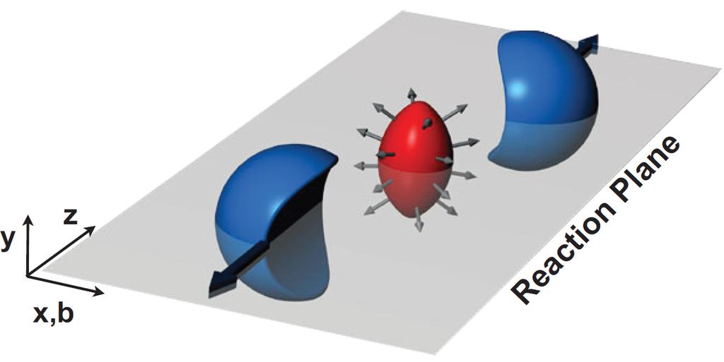 1.1. HEAVY ION COLLISIONS 5 Figure 1.2: A schematic picture of the heavy ion collision in the plane perpendicular to the beam. The centers of the nuclei are marked with crosses.