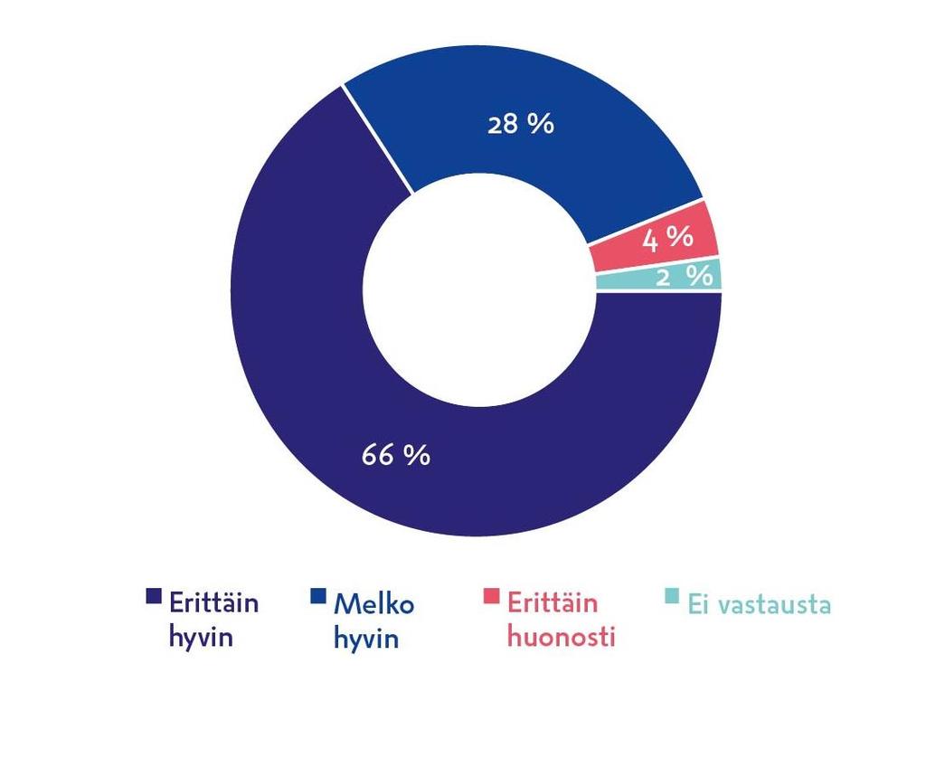 Elämys myös ohjelmantekijöille Kuinka hyvin oma hankkeenne onnistui