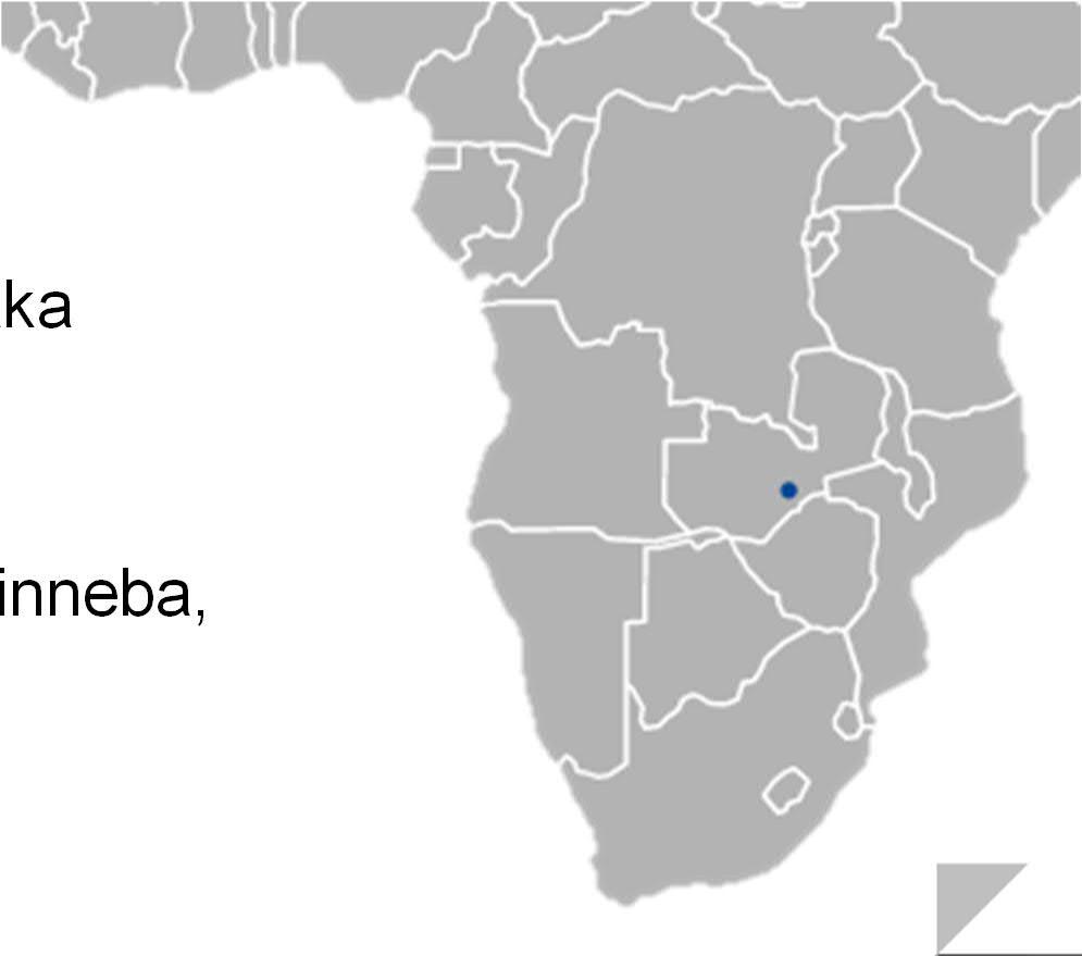 Afrikka (kahdenvälinen) Sambia University of Zambia,