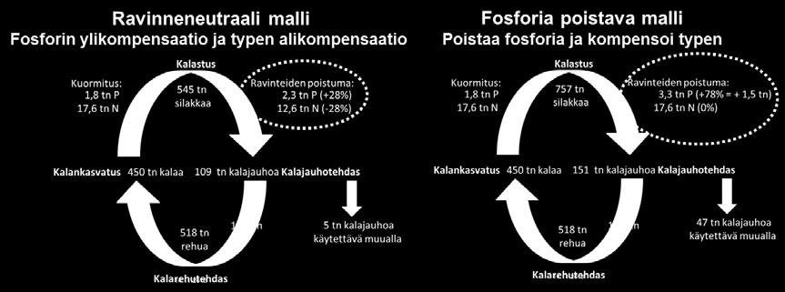 Silakasta saa kalajauhoa 4,2 kg/tn lisäkasvua 39,0 kg/tn lisäkasvua 4,3 kg/tn saalista 23,3 kg/tn saalista 1,15 Rehua kg/kalakiloa kg 20 % kalarehusta 20 % silakkakilosta Kuva 6.