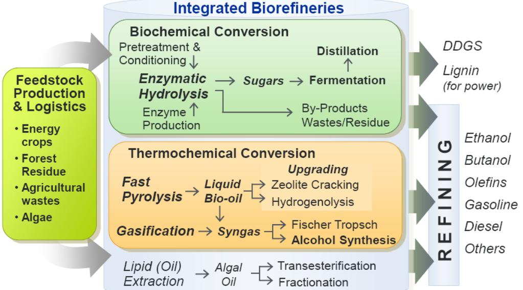 Nt Nisust bioetanooli valmistamisel saadakse ühest tonnist 372 l etanooli 457 kg WDG wet destillers grain - (70% niiskus) või 295 kg of DDGS (10% niiskus). Joonis 4c.