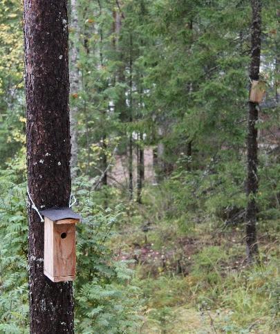 Ekologinen vastuullisuus matkailussa Ne yrityksen toimenpiteet, jotka mahdollistavat resurssien tehokkaan käytön ja vähäpäästöisyyden (energia, vesi,