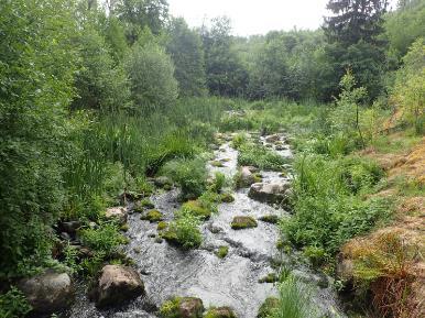 sieltä puuttuvaa poikasmurkula kokoluokkaa olevaa kiviainesta (sekoitus 50-150 ja 100-250mm kokoluokkien mukulakiviä) pienpoikasten piilopaikkojen luomiseksi.