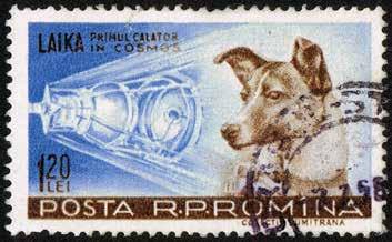 Laika-koira postimerkissä Kuva: CC0 Wikimedia Commons Yhteen kierrokseen maapallon ympäri se tarvitsi aikaa hieman yli puolitoista tuntia.