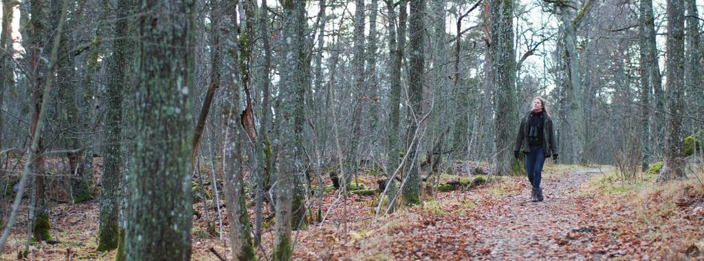 Työhyvinvointi ja terveys Työkyvyn hallinta Kaupungin Työkyvyn hallintamalli on varhaisen välittämisen toimintatapa, jossa on sekä ennakoiva että reagoiva näkökulma työkyvyn ja työhyvinvoinnin