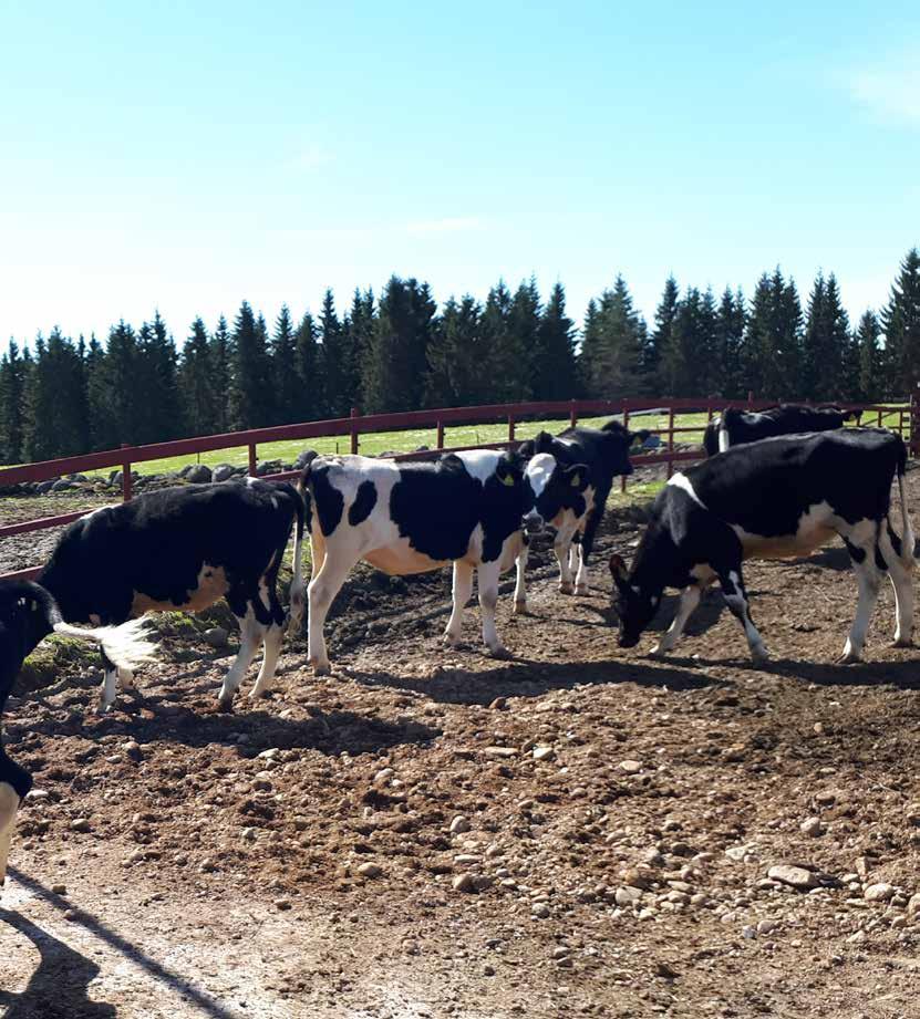 8 Maakuntalakiesitys Maakunta vastaa maakunnan tehtäväalojen erityislainsäädännössä säädettyjen tehtävien järjestämisestä ja tuottamisesta.