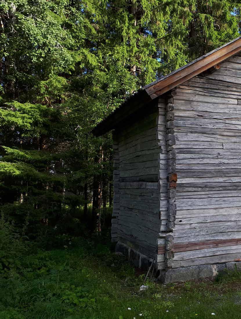 10 Aluetaloudellisten vaikutusten arviointi 10.1 Välilliset ja välittömät vaikutukset Maatalouden työllistävä vaikutus ulottuu Pohjois-Karjalan alueella laajalle.