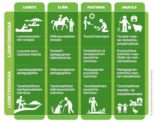 Suomalainen Green Care - sateenvarjokäsite Eroaa muiden maiden GC-käsitteestä sen laajuuden osalta niin asiakkaiden kuin toimintasektorien näkökulmasta Suomalainen Green Care on luontoon ja